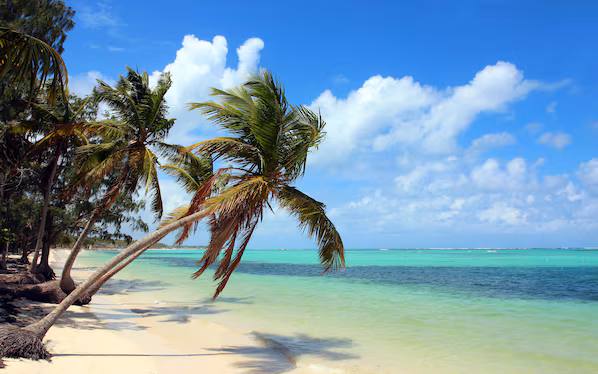 Bavaro Beach near Hyatt Zilara Cap Cana with palm-lined shoreline, white sand beaches, and turquoise Caribbean waters