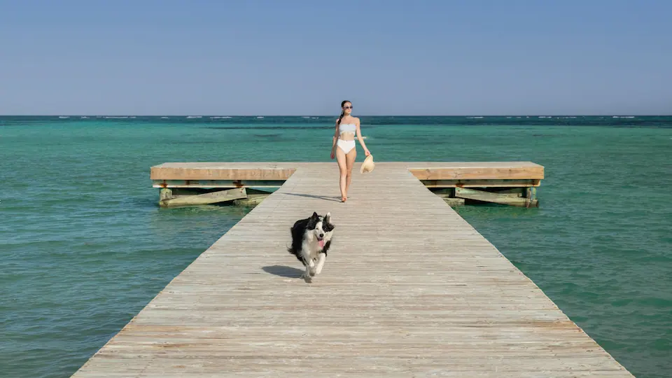 Guest walking with a dog on a scenic ocean pier at Hyatt Zilara Cap Cana near the Caribbean Sea.